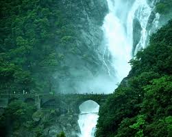Goa Tour Package with Dudhsagar Waterfall