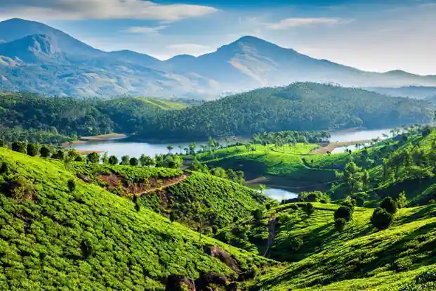 02 Nights / 03 Days Misty Munnar by Cab
