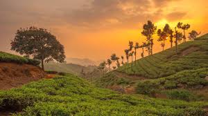 04 Nights / 05 Days Glorious Munnar with Thekkady &amp; Alleppey by Cab